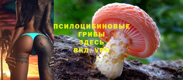 a pvp Богданович