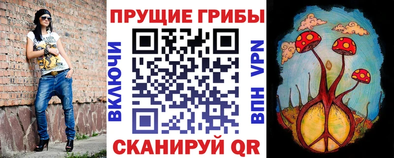 дарнет шоп  Новоржев  Галлюциногенные грибы мицелий 